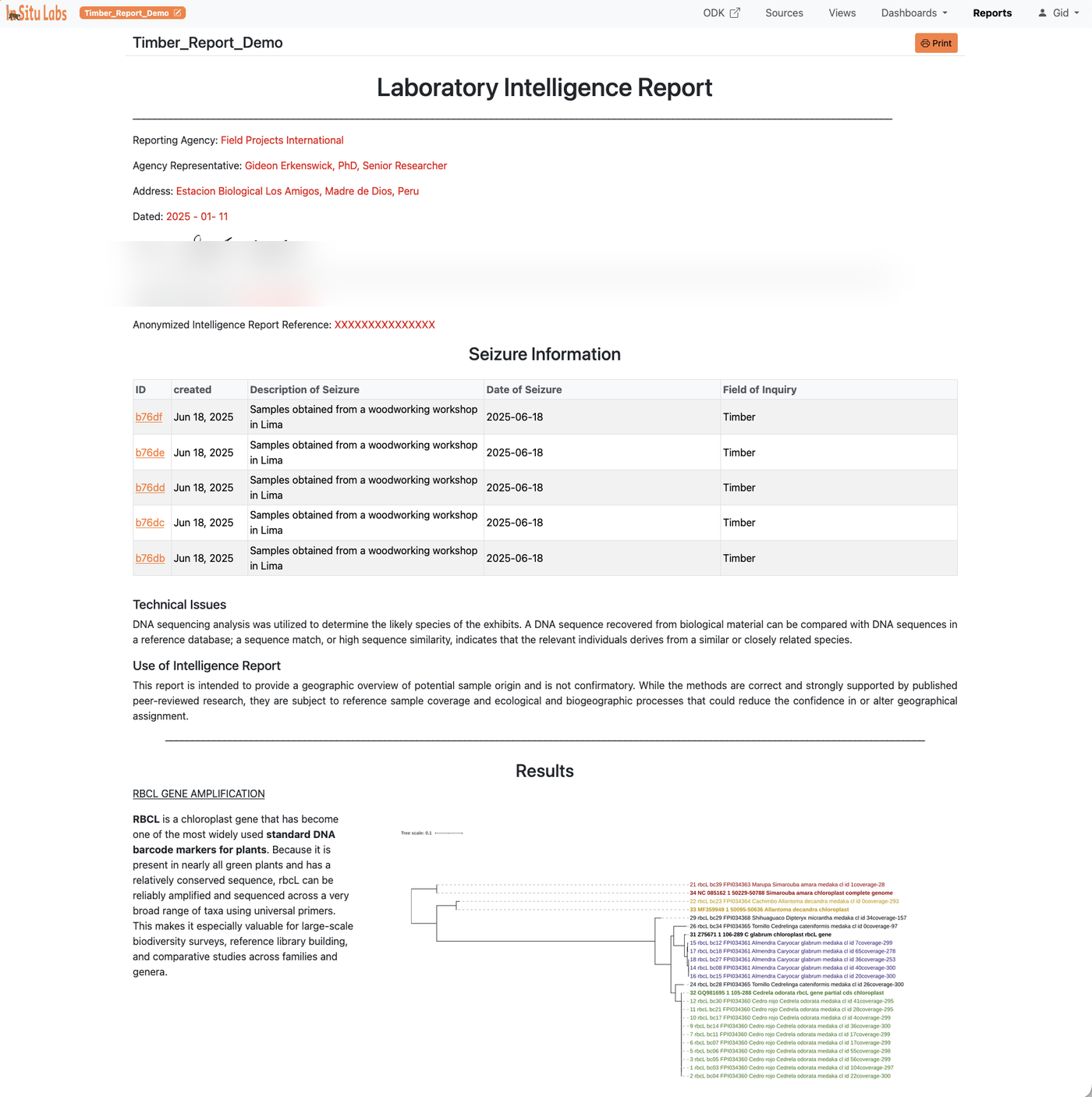 An example report displaying a title, introduction text, embedded charts, and data tables.